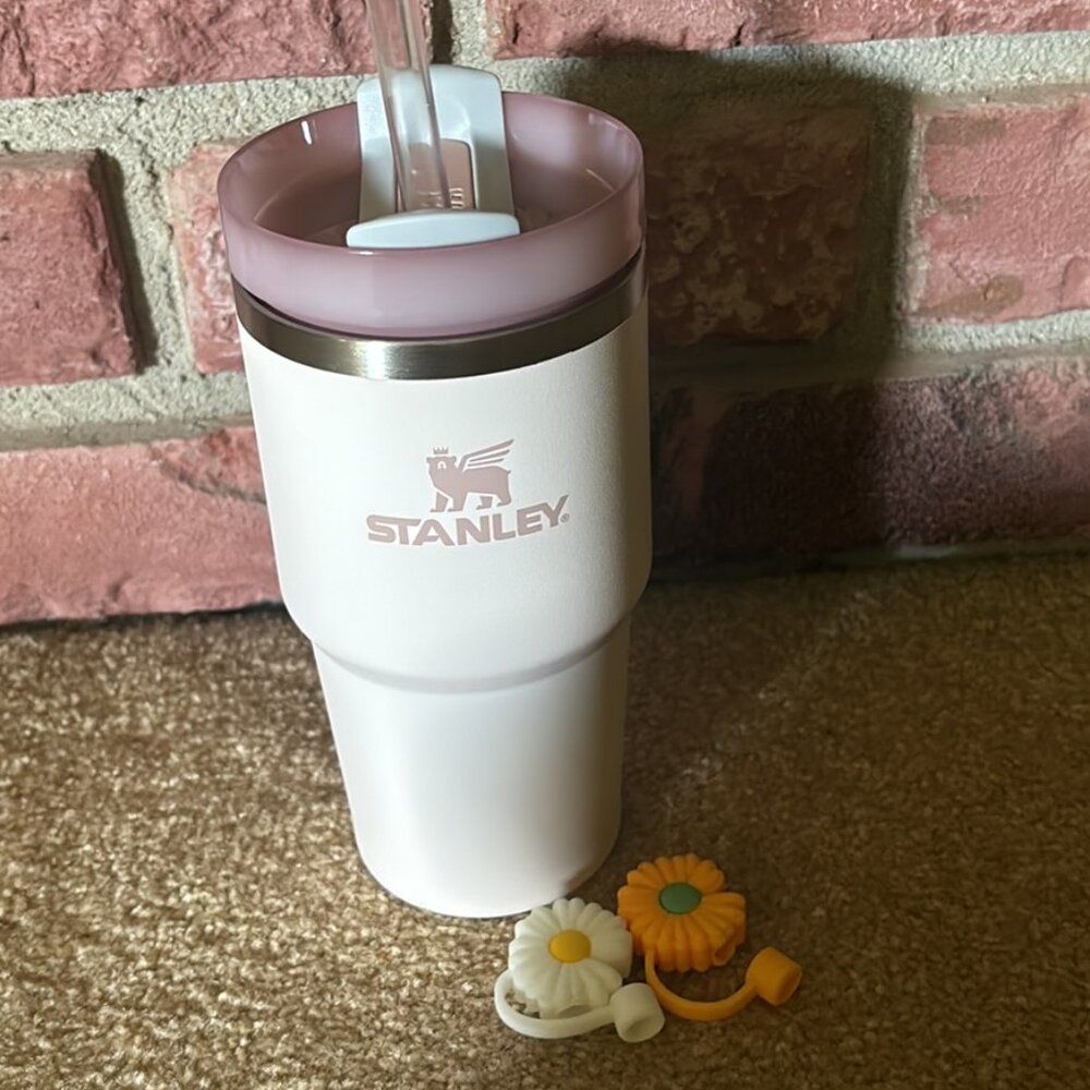 Stanley 20 oz. Rose Quartz